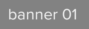 Banner 300x100 [1]