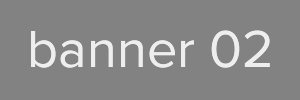 Banner 300x100 [2]