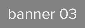 Banner 300x100 [3]